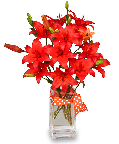 Blazing Orange Lilies