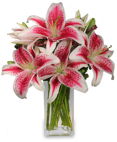 Luxurious Lilies