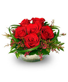 Rosy Red Posy